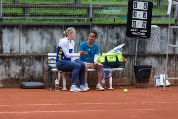 Bild 586 - BL Club an der Alster - THC von Horn und Hamm : Ergebnis: 9:0